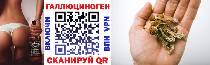 ссылка на мегу как войти  Мураши  Псилоцибиновые грибы Cubensis 